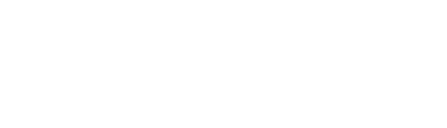 rubrik